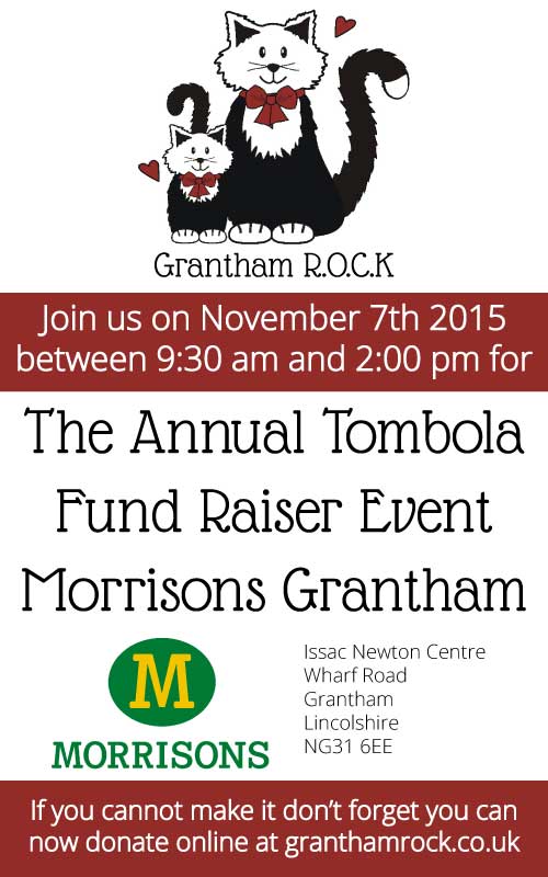 grantham-rock-at-morrisons-07.11.15-2